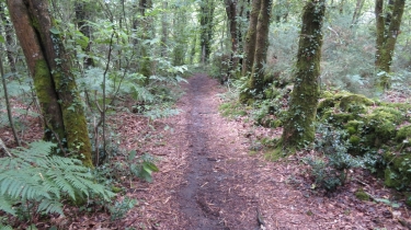 SULNIAC - CIRCUIT DES TEMPLIERS-morbihan