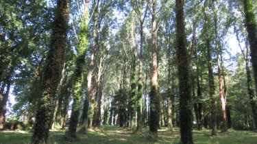 RADENAC - CIRCUIT DU PETIT TACOT-morbihan