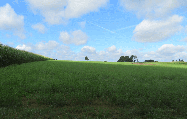 RADENAC - CIRCUIT DU PETIT TACOT-morbihan