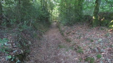 QUISTINIC - CIRCUIT DE POUL FETAN-morbihan