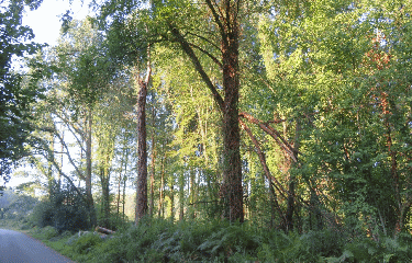 BIEUZY LANVAUX - RANDONNEE-morbihan
