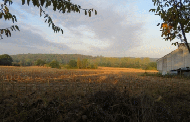 TAUPONT- CIRCUIT DES CHAPELLES-morbihan