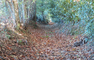 PLUMERGAT- RANDONNEE DES 3 CLOCHERS-morbihan