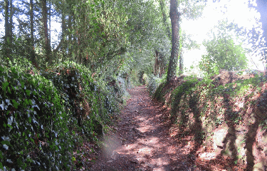 QUISTINIC - CIRCUIT DU BOURG-morbihan