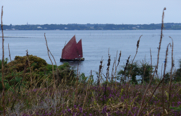 ILE AUX MOINES-morbihan