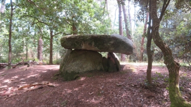 golfe-du-morbihan - SAINT-PHILIBERT - DOLMENS ET MENHIRS