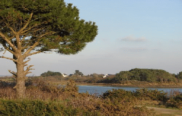 ANSE DE MANCEL-morbihan