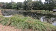 CLEGUER - CIRCUIT DE COET LETUNE-morbihan
