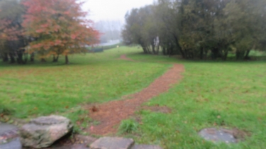 BRECH - CIRCUIT DE PENHOET - CONFINENEMENT 2-morbihan