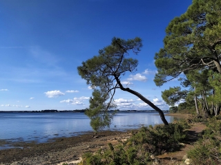 LOCOAL - TOUR DE LA PETITE PRESQU ILE-morbihan