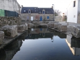 RIA - CHAMPS ET BOIS-morbihan