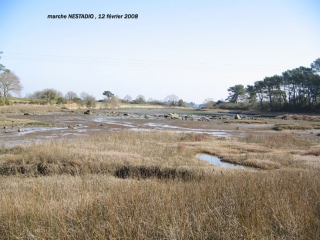 RIVES DE RIA-morbihan