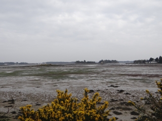 NESTADIO - ST GUILLAUME - BERRINGUE-morbihan