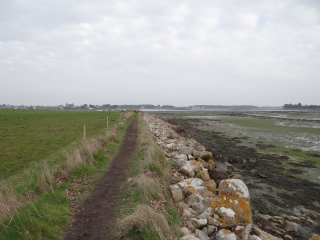 NESTADIO - ST GUILLAUME - BERRINGUE-morbihan