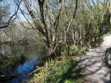 LE BOURG - KERVRAN - LE MAGOUER-morbihan