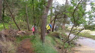 PLOUHINEC - LA RIA PAR LES PINEDES-morbihan