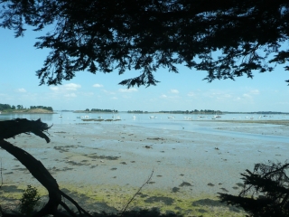 ARZON - PORT NAVALO - PORT CROUESTY-morbihan