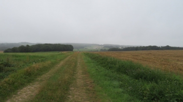 GUILLIERS - CIRCUIT DE CHATEAU TRO-morbihan