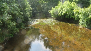 MELRAND - CIRCUIT DU GUELHOUIT-morbihan