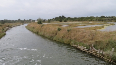 golfe-du-morbihan - LE HEZO - CIRCUIT DES FONTAINES