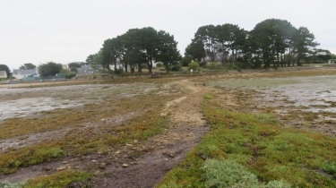 SAINT-ARMEL - MARAIS SALANTS DE LASNE-morbihan