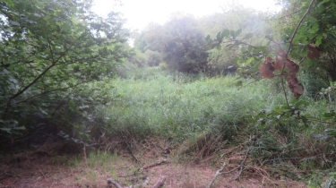 MUZILLAC, CIRCUIT DES CHOUANS-morbihan