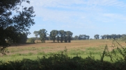 EVELLYS, CIRCUIT DE L'ILLYS-morbihan