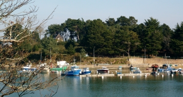 RIVIERE DU VINCIN-morbihan