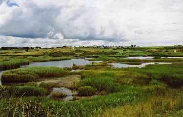 RESERVE DU LOCH-morbihan