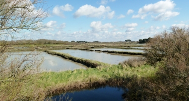 RIVIERE DE PENERF-morbihan
