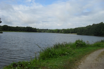 ROCHEFORT-EN-TERRE-morbihan