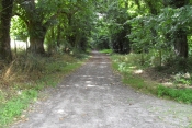 CIRCUIT DES COLLINES-morbihan