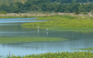 LES DEUX RIVIERES-morbihan