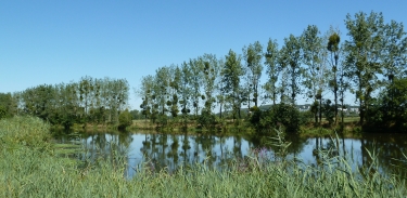 LES DEUX RIVIERES-morbihan