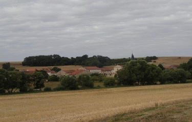 FORET D AMELECOURT A PARTIR DE FONTENY-moselle