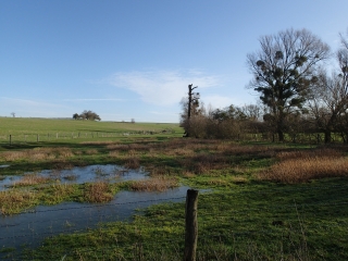 ALAINCOURT LA COTE - CRAINCOURT PAR DES ROUTES DE CAMPAGNE ET DES CHEMINS DE CHAMP-moselle