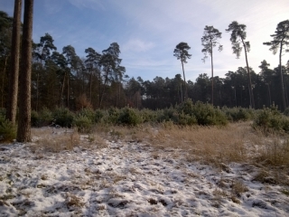 CREUTZWALD - FALCK - CREUTZWALD-moselle