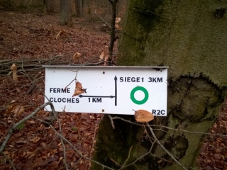 BOUCLE CREUTZWALD - FALCK - CREUTZWALD (2)-moselle