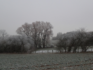 REMILLY - HAUTEURS DE VOIMHAUT - CHANVILLE ET ANCERVILLE-moselle