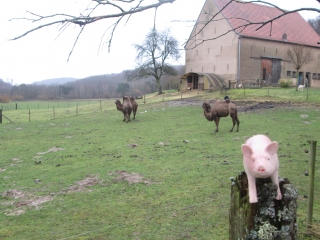 CIRCUIT DES CASCADES ET DES ANCIENS MOULINS-moselle