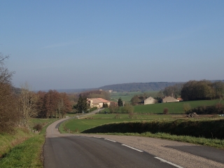 ABONCOURT - BOIS DE LUTTANGE-moselle