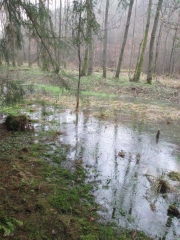 BALADE SUR LES HAUTEURS DE SIERSTHAL-moselle