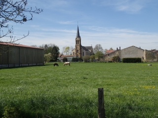VATIMONT ( BOUCLE VATIMONT - HOLACOURT - LESSE - VATIMONT)-moselle