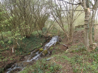 LORRY-LES-METZ ET SES VERGERS-moselle