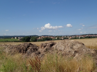 COURCELLES-SUR-NIED -  CIRCUIT DES JARDINS FRUITIERS-moselle