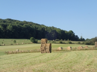 FEY - BUTTE GAUMONT-moselle