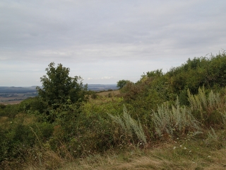 LA COTE DE DELME-moselle