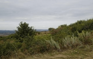 LA COTE DE DELME-moselle