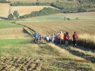 BEAU CIRCUIT TRANSFRONTALIER EN  PAYS OUVERT  - ENTRE SCHWEYEN ET HORNBACH