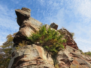 COULEURS DE L AUTOMNE AUTOUR DU CHATEAU DE FALKENSTEIN-moselle